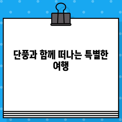 가을 단풍 여행, 어디로 갈까? | 단풍 명소 추천, 단풍 구경, 단풍놀이