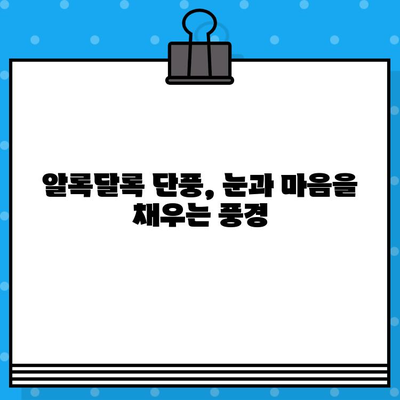 가을 단풍 여행, 어디로 갈까? | 단풍 명소 추천, 단풍 구경, 단풍놀이