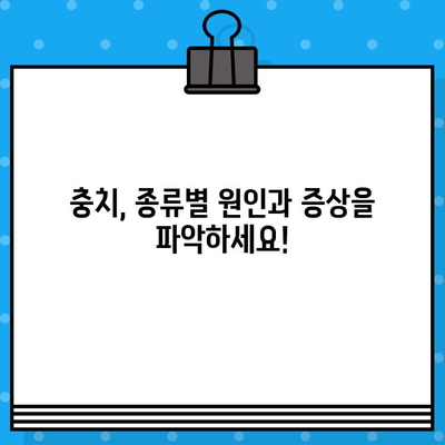 충치 종류별 치료법 & 예방 관리 가이드 | 치아 건강 지키는 완벽한 해결책