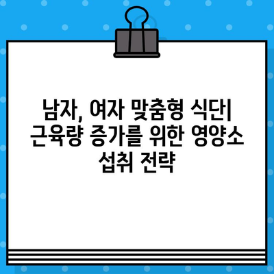 마른 체형 탈출! 남자, 여자 모두 가능한 단기간 살찌는 식단 & 칼로리 가이드 | 단기간 체중 증가, 벌크업, 영양 관리