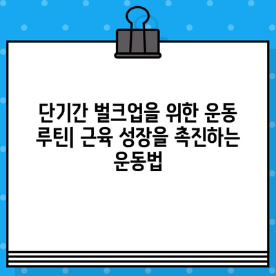 마른 체형 탈출! 남자, 여자 모두 가능한 단기간 살찌는 식단 & 칼로리 가이드 | 단기간 체중 증가, 벌크업, 영양 관리