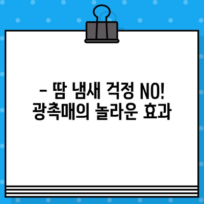 땀 흡수력 갑! 운동 후 찝찝함 끝! ✨ 광촉매 스포츠 타월 추천 베스트 5 | 땀 흡수, 쾌적함, 광촉매, 스포츠 타월, 추천