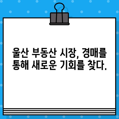 청년 퓰리처 기자의 내 집 마련 도전! 울산지법 경매법정 첫 방문 후기 | 경매, 부동산, 울산, 청년, 내 집 마련