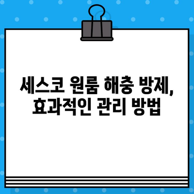 세스코 가정집 원룸 비용 총정리| 나에게 맞는 맞춤형 서비스 찾기 | 세스코 가격, 원룸 해충 방제,  가성비 해결