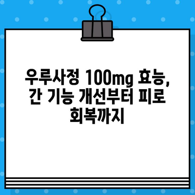 우루사정 100mg 완벽 가이드| 효능, 사용법, 부작용 총정리 | 간 기능 개선, 피로 회복, 복용 주의사항