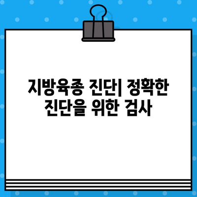 지방육종| 증상, 원인, 진단, 치료법 완벽 가이드 | 암, 유전, 수술, 항암치료