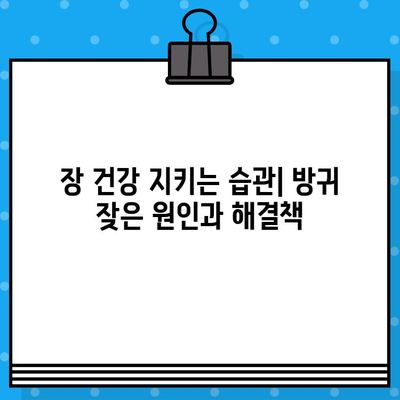 방귀가 자주 나오는 이유| 나의 경험과 해결 방법 추천 | 과민성 대장 증후군, 장 건강, 식습관 개선